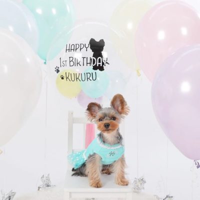 Studio and photo studio background decoration